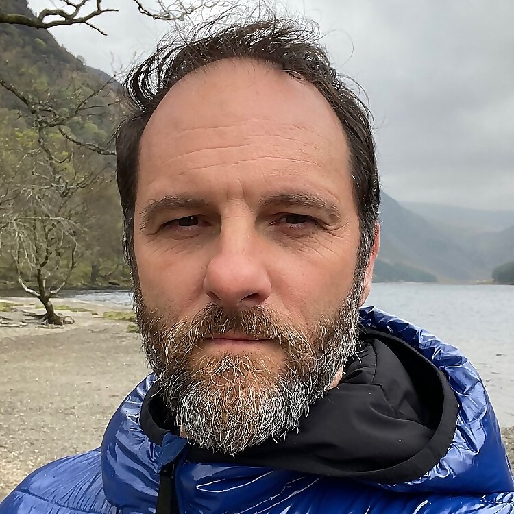 bryanreevesinsight profile image